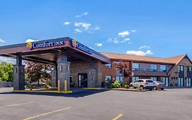 Comfort Inn St.catharines